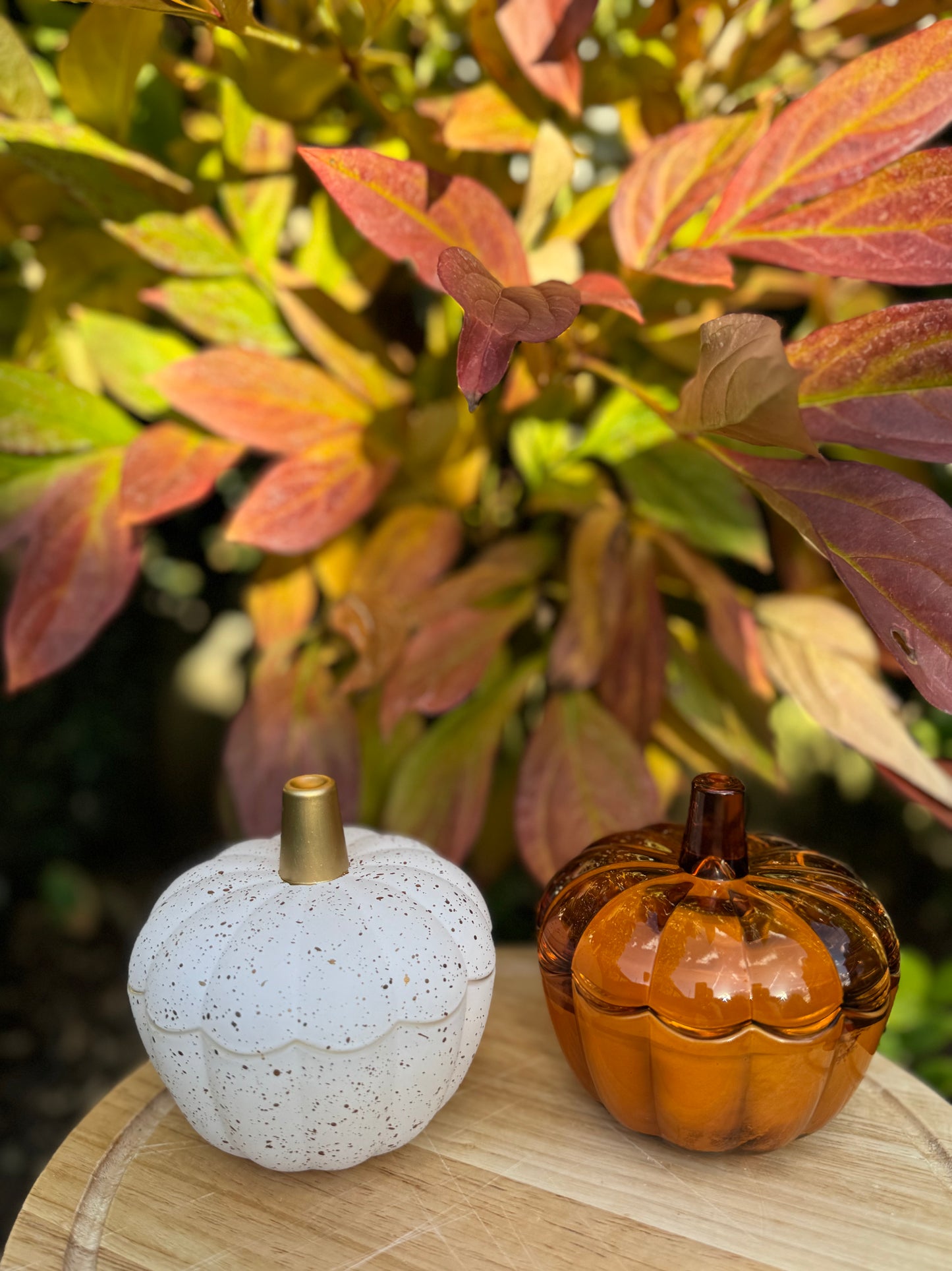 BABY BOO PUMPKIN FOR YOU