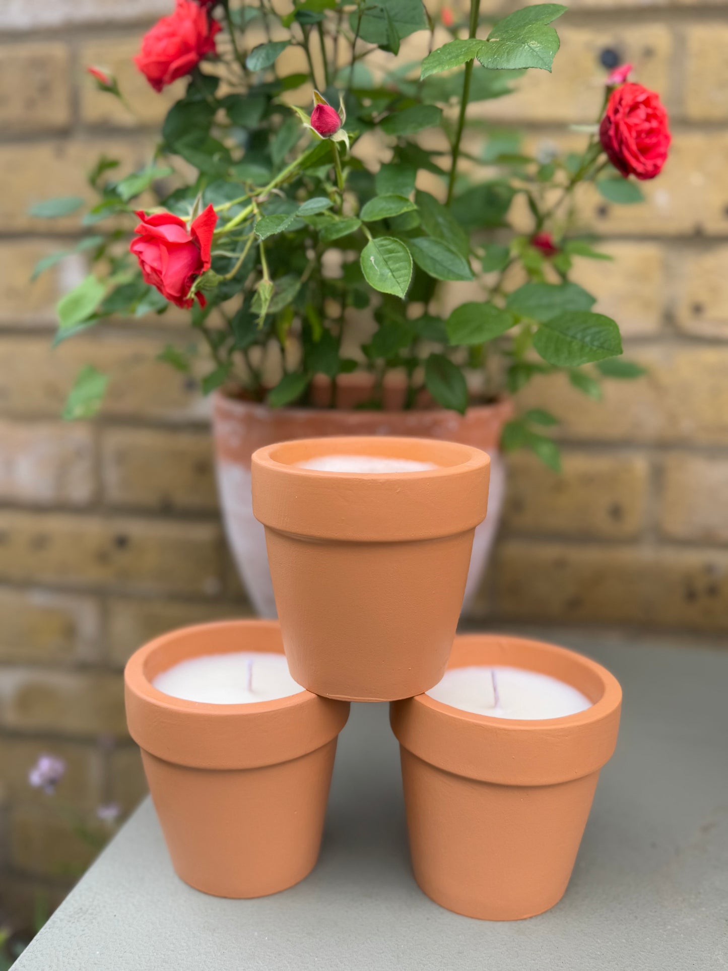 TERRACOTTA 210g