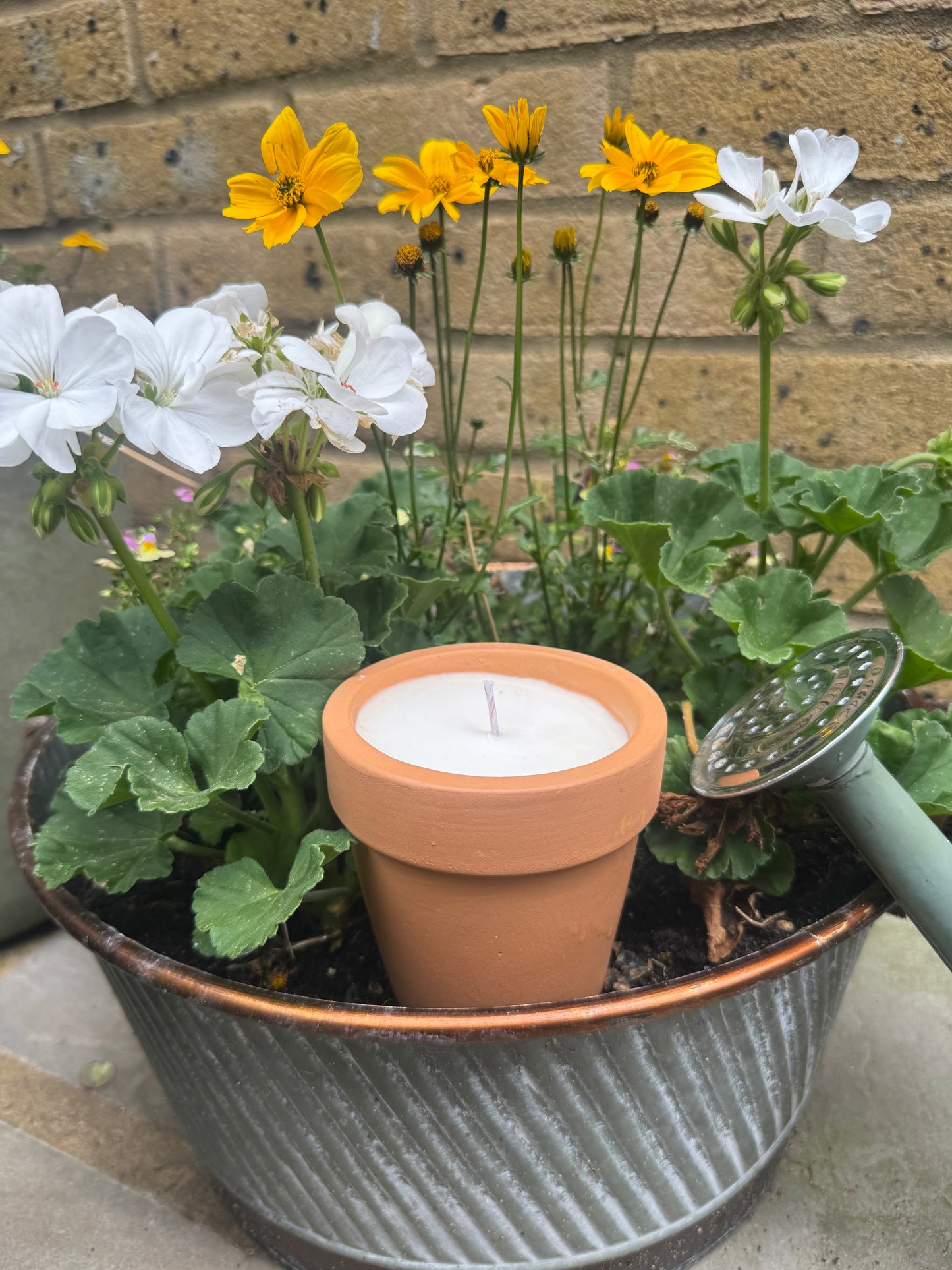 TERRACOTTA 210g