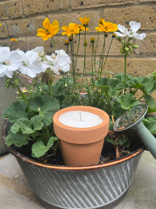 TERRACOTTA 210g