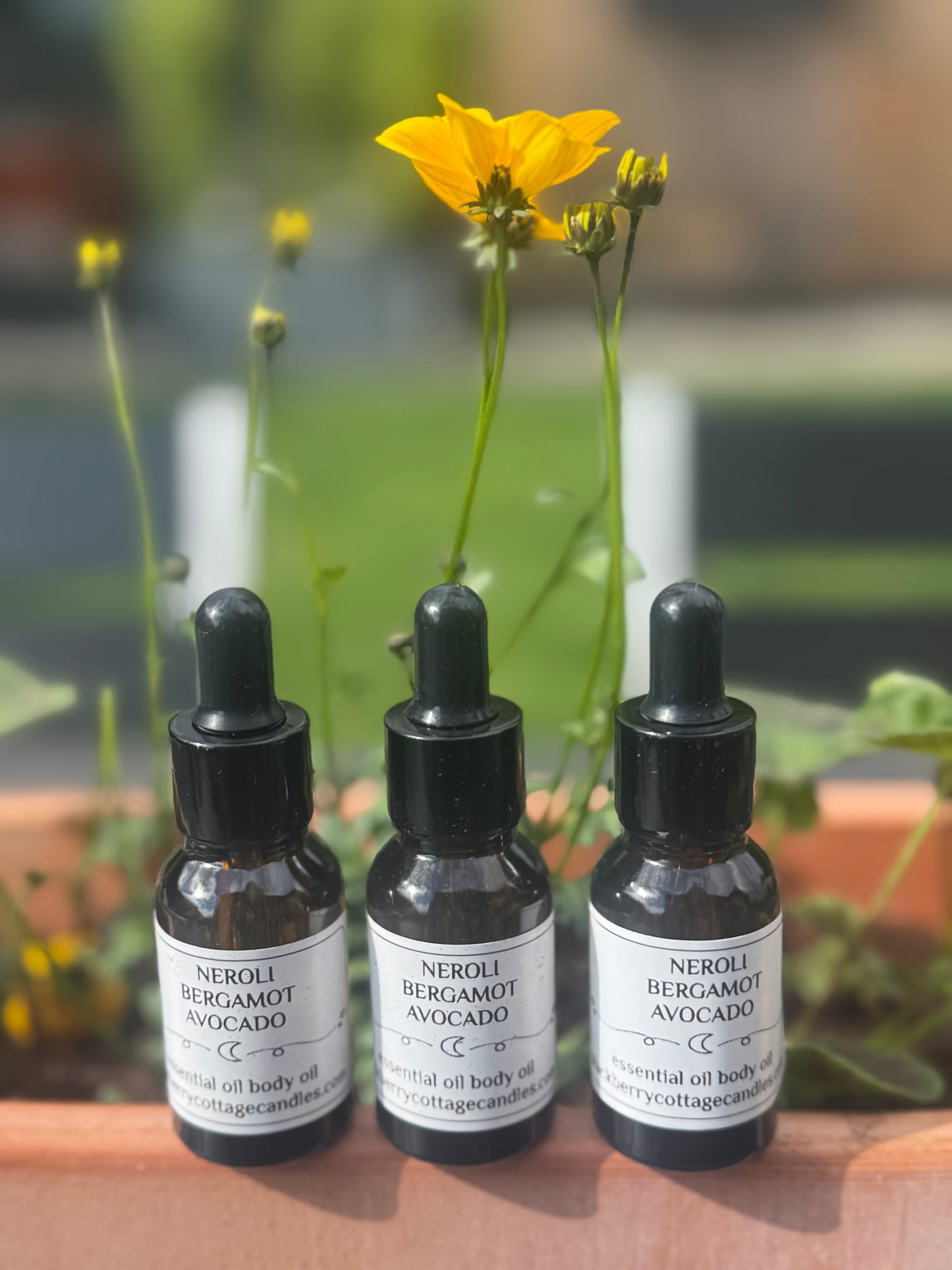 ESSENTIAL OILS FOR THE BODY